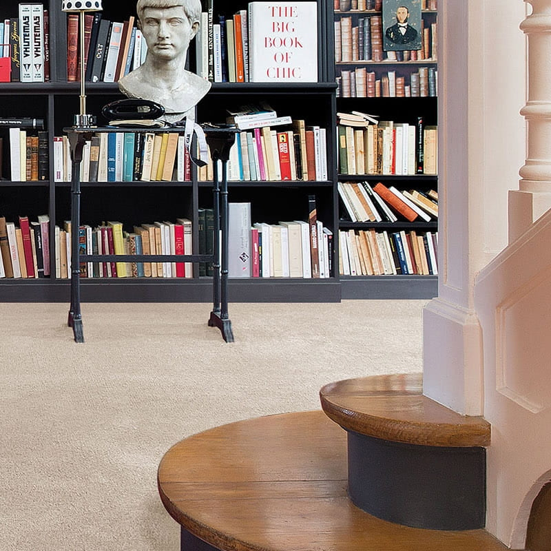 Centurion 11mm Olefin Carpet - Silkworm 30