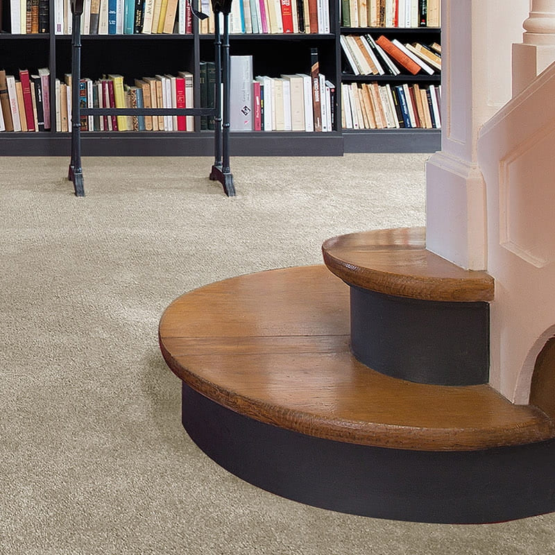 Centurion 11mm Olefin Carpet - Cotswold Stone 33