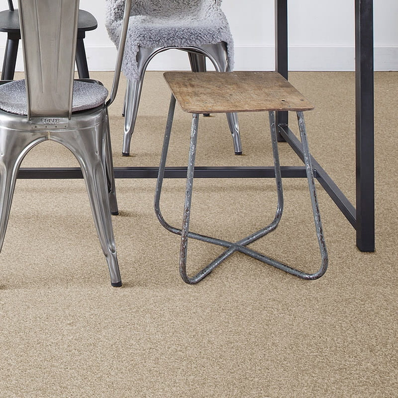 Cassius 15.5mm Olefin Carpet - Temple 33
