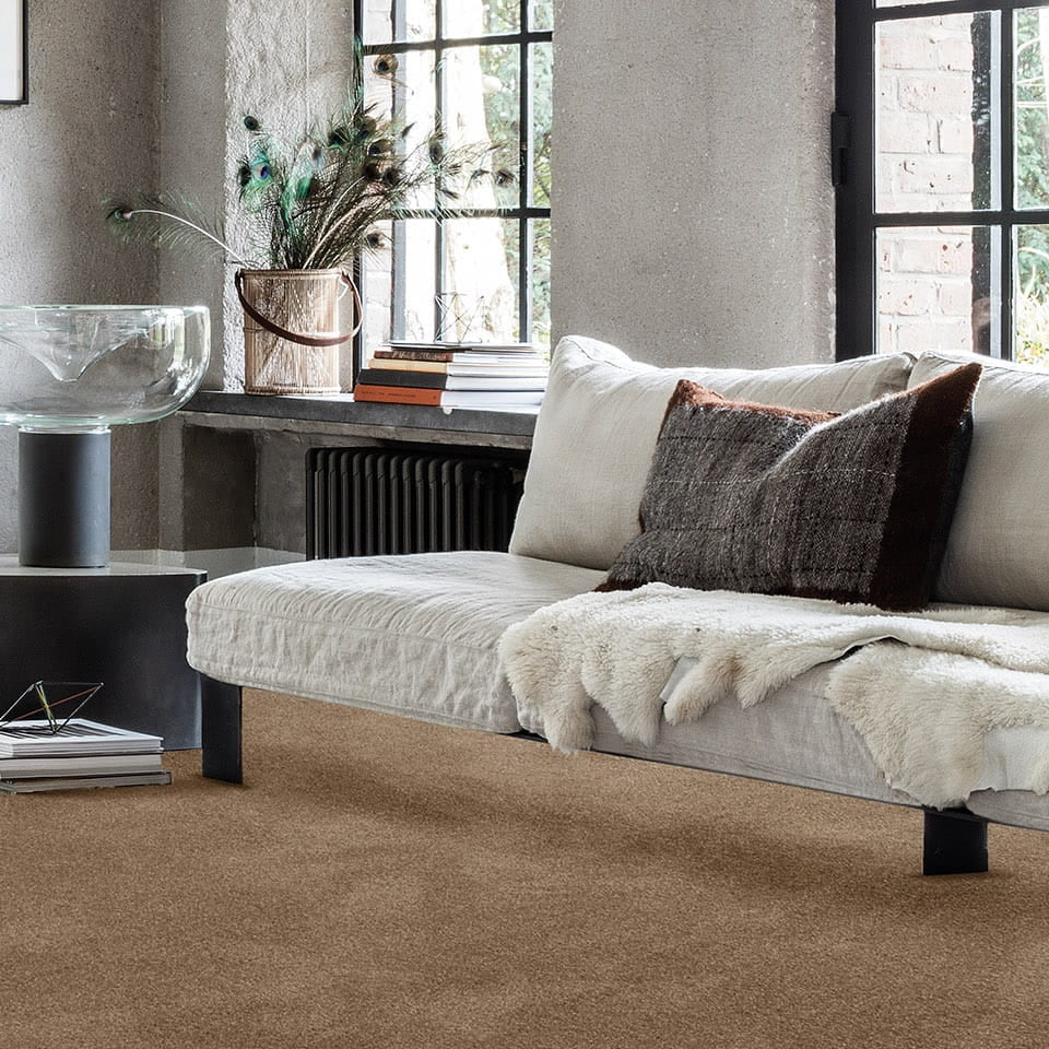 Aries 10mm Polypropylene Carpet - Moleskin 40