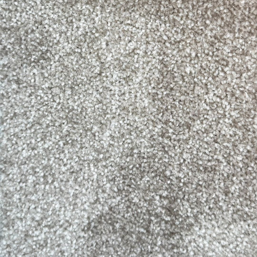 Lyon Felt Back PP Carpet - 73