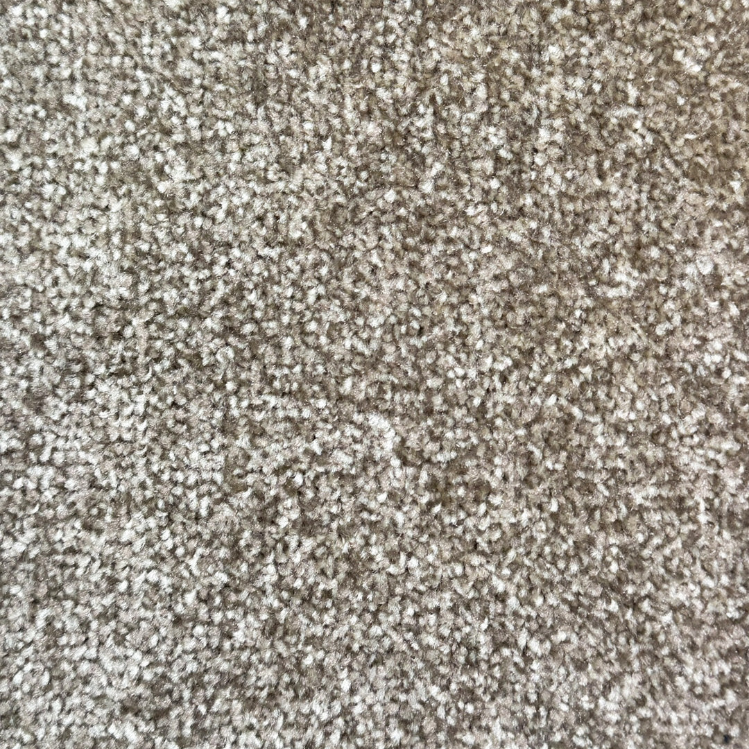 Lyon Felt Back PP Carpet - 91