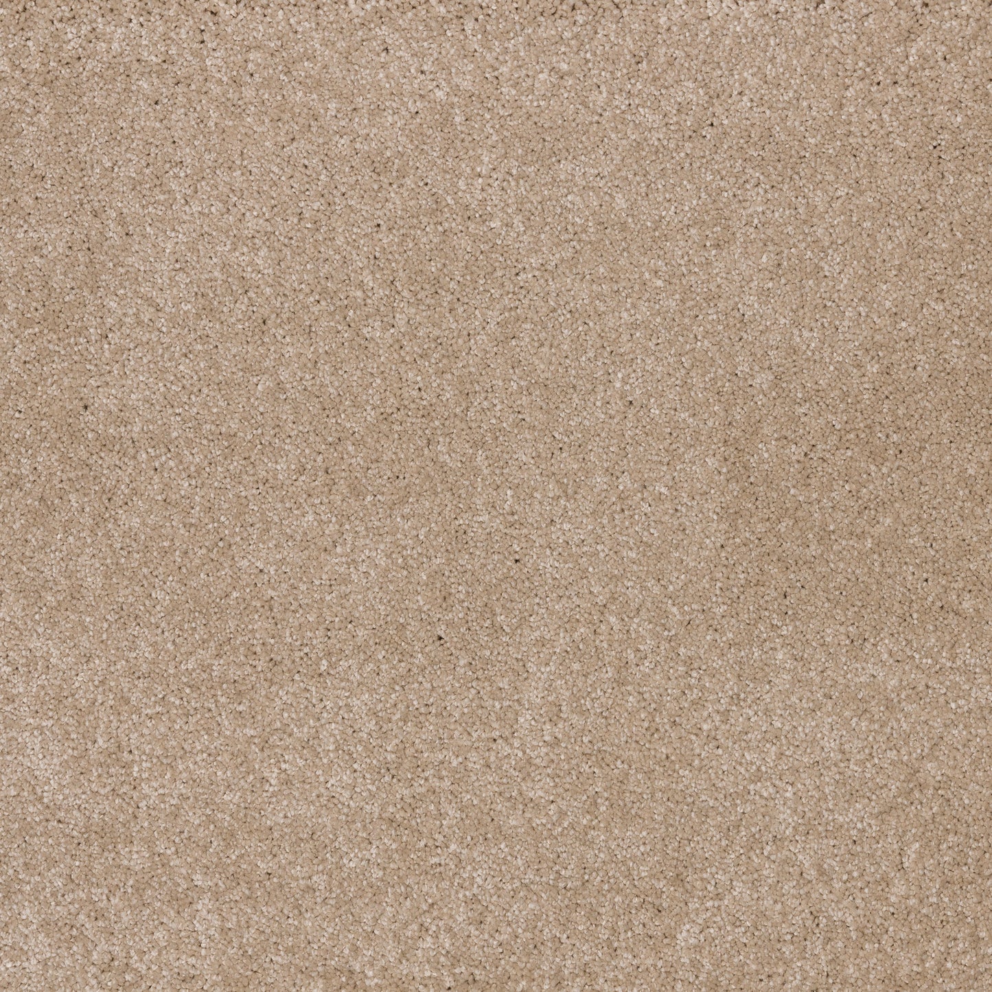 Dreamy Delight 19.5mm Deep Pile Saxony Carpet - Canvas 968