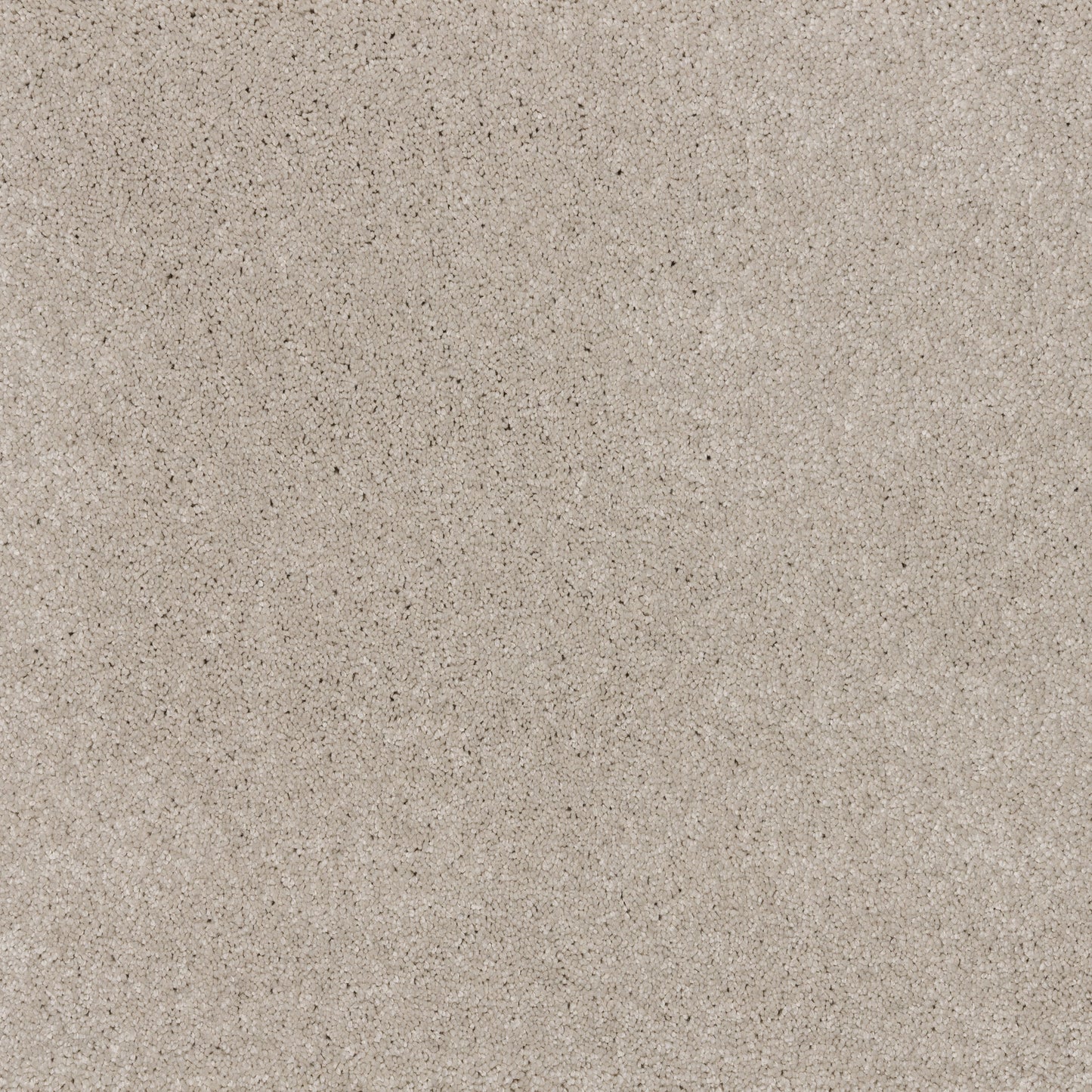 Dreamy Delight 19.5mm Deep Pile Saxony Carpet - Cloud 970