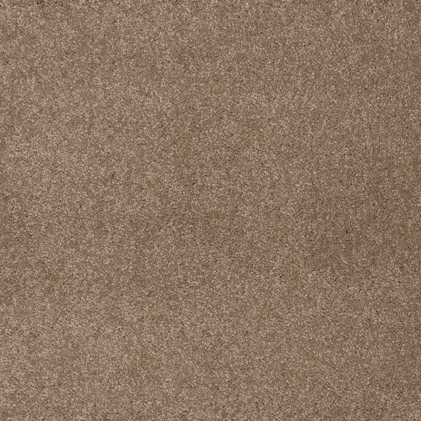Dreamy Delight 19.5mm Deep Pile Saxony Carpet - Dolomite 990