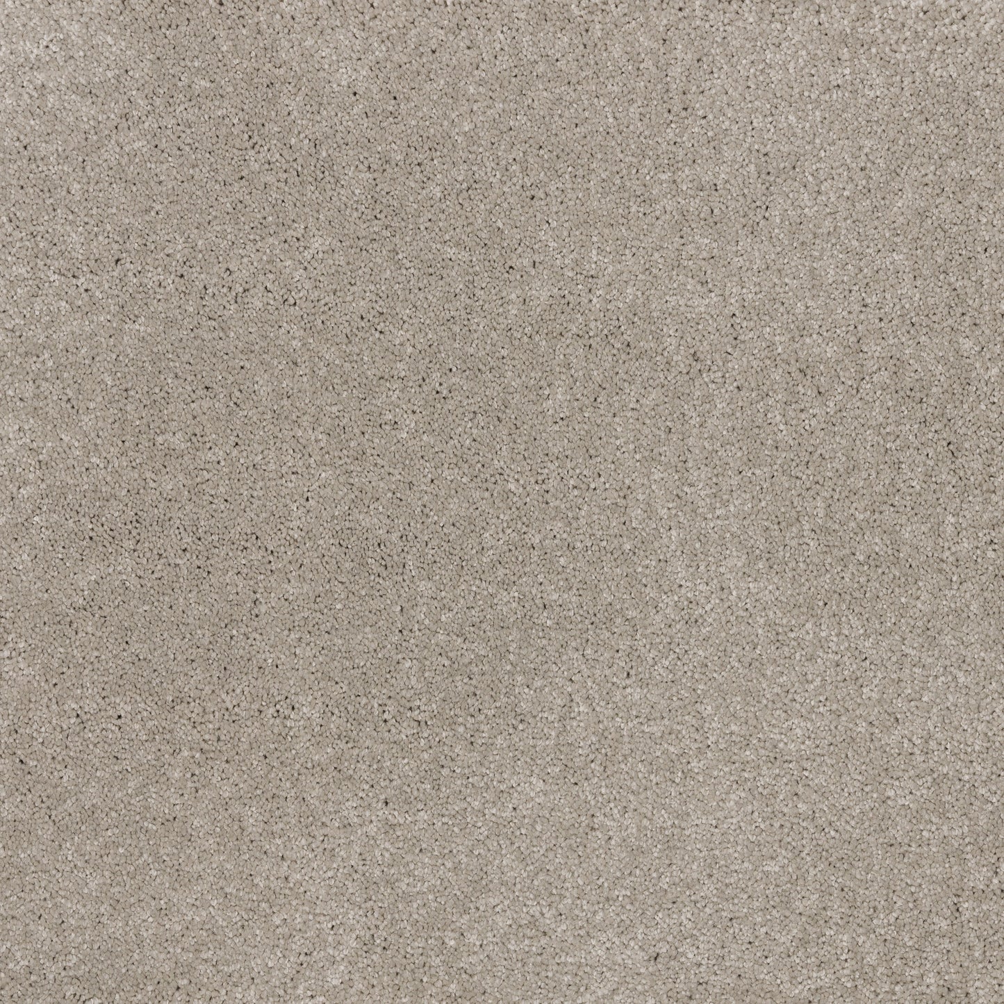 Dreamy Delight 19.5mm Deep Pile Saxony Carpet - Stone 972