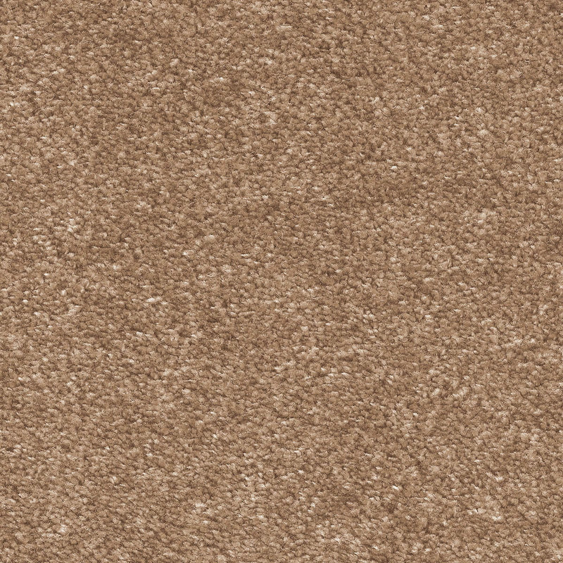 Polyamide Carpets
