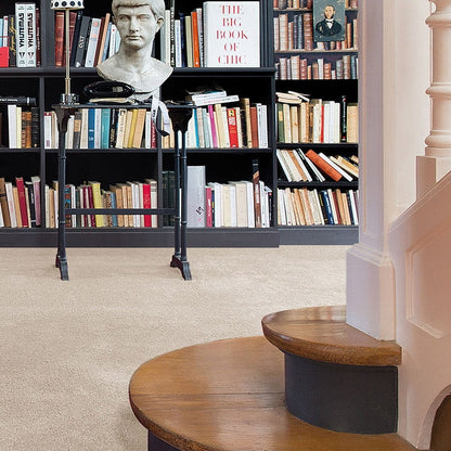 Centurion 11mm Olefin Carpet - Silkworm 30