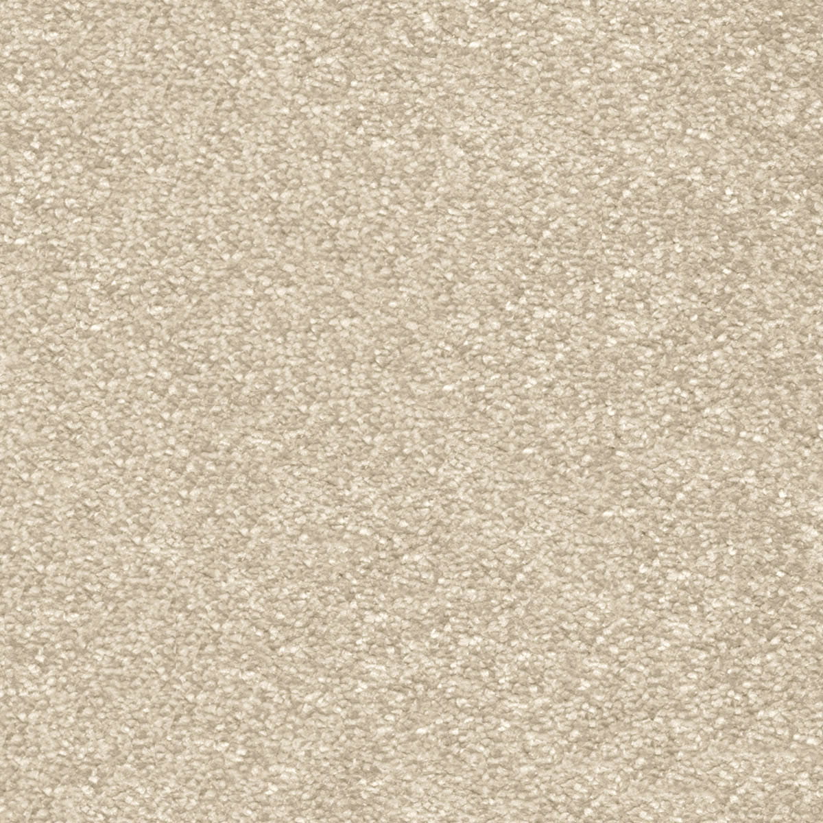 Centurion 11mm Olefin Carpet - Shortbread 31