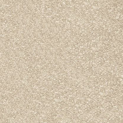 Centurion 11mm Olefin Carpet - Shortbread 31