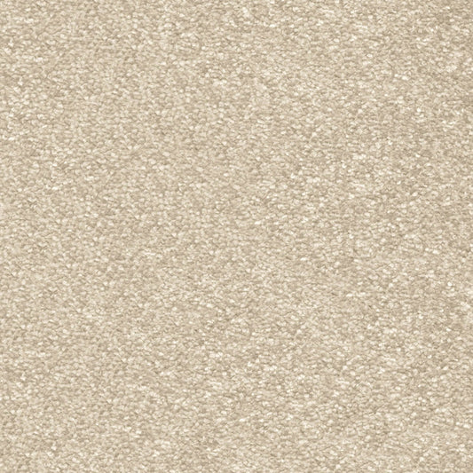 Centurion 11mm Olefin Carpet - Shortbread 31