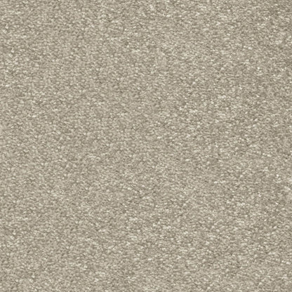 Centurion 11mm Olefin Carpet - Cotswold Stone 33