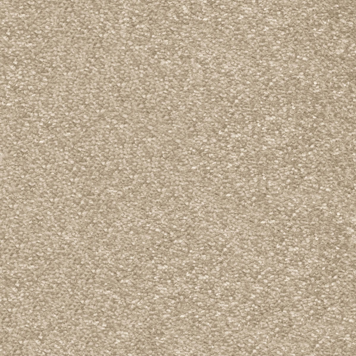 Centurion 11mm Olefin Carpet - Sandcastle 35