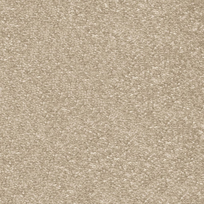 Centurion 11mm Olefin Carpet - Sandcastle 35