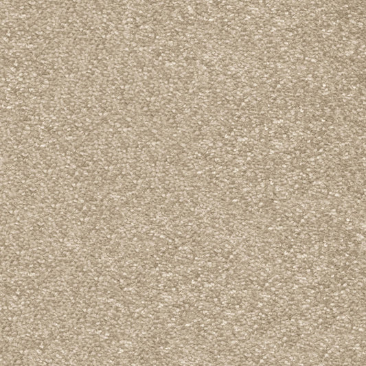 Centurion 11mm Olefin Carpet - Sandcastle 35