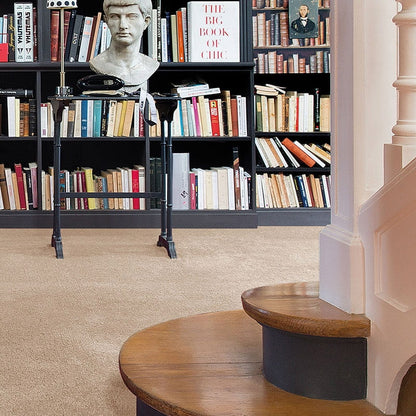 Centurion 11mm Olefin Carpet - Sandcastle 35