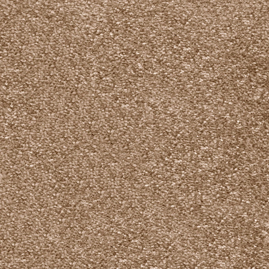 Centurion 11mm Olefin Carpet - Latte 40