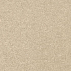 Cassius 15.5mm Olefin Carpet - White Swan 03