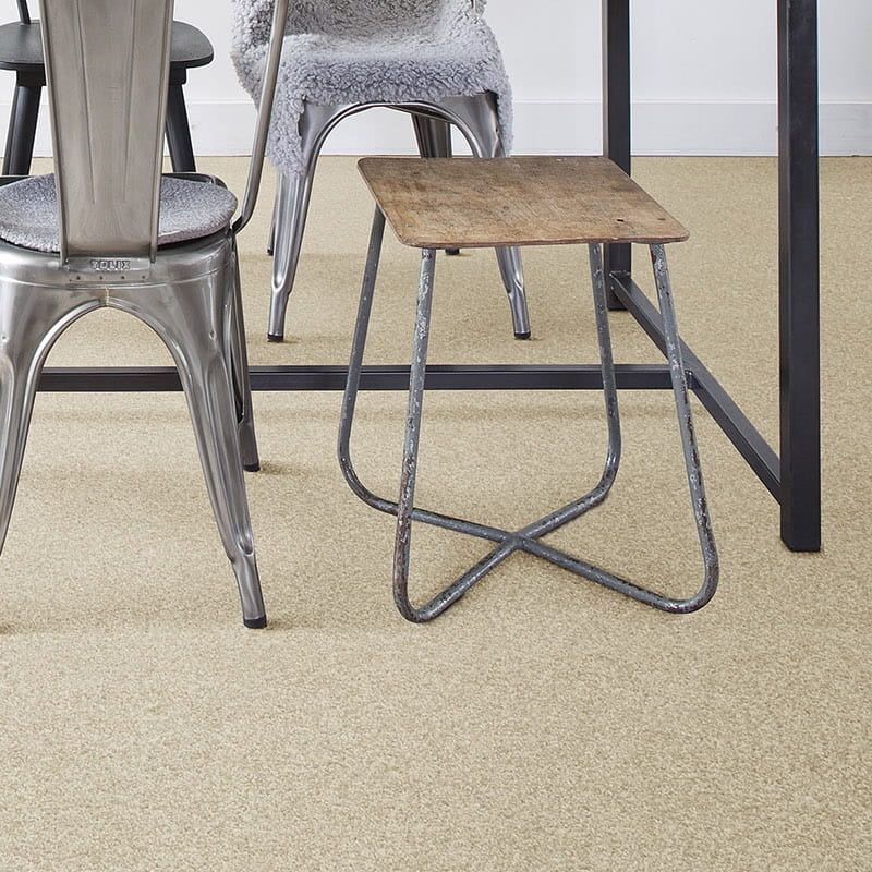 Cassius 15.5mm Olefin Carpet - White Swan 03
