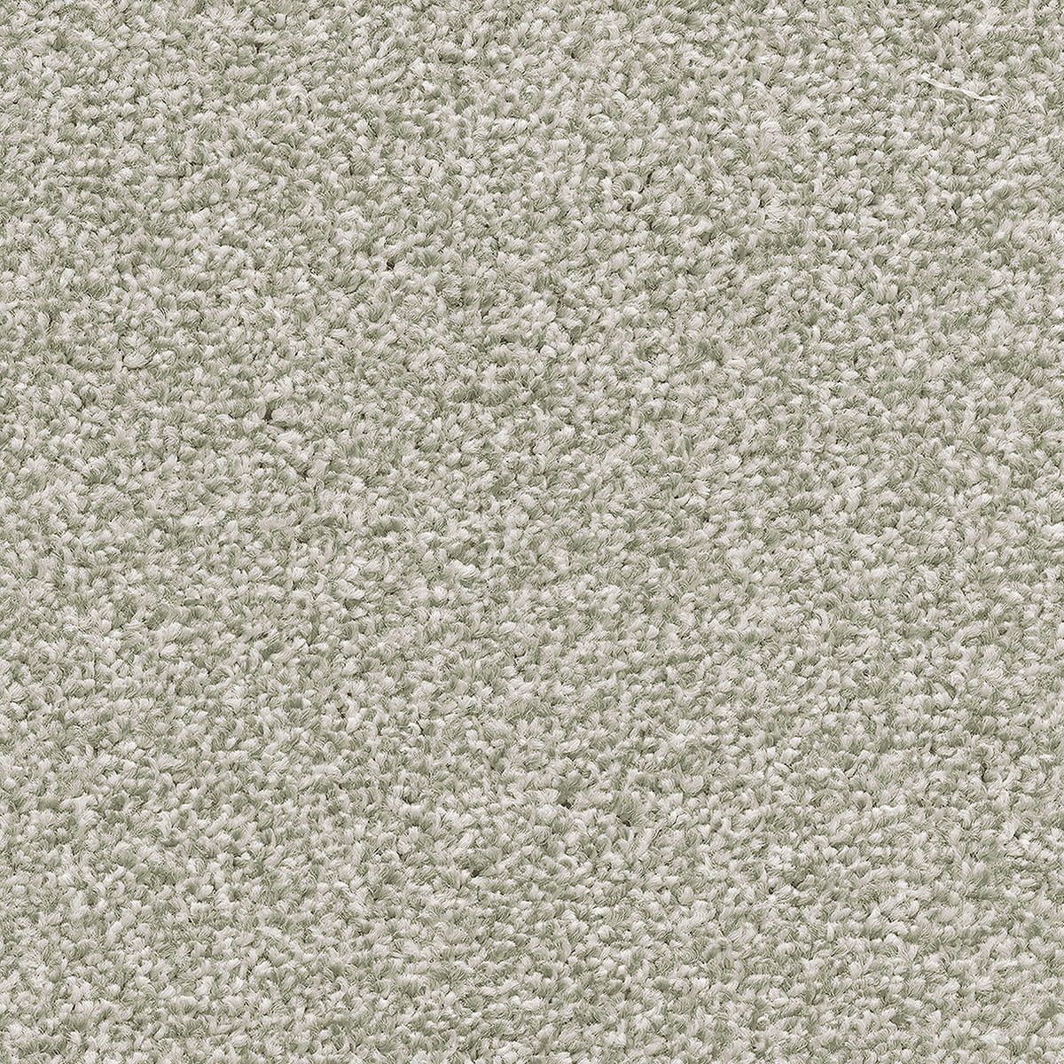 Cassius 15.5mm Olefin Carpet - Fern 20