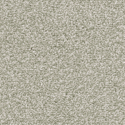 Cassius 15.5mm Olefin Carpet - Fern 20