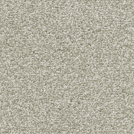 Cassius 15.5mm Olefin Carpet - Fern 20