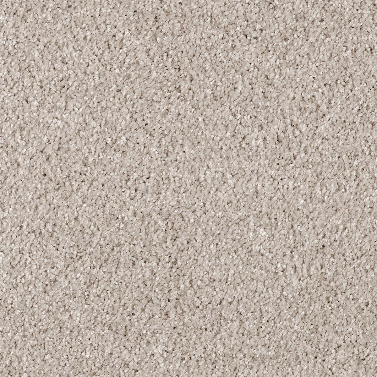 Cassius 15.5mm Olefin Carpet - Mistflower 32