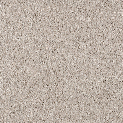 Cassius 15.5mm Olefin Carpet - Mistflower 32