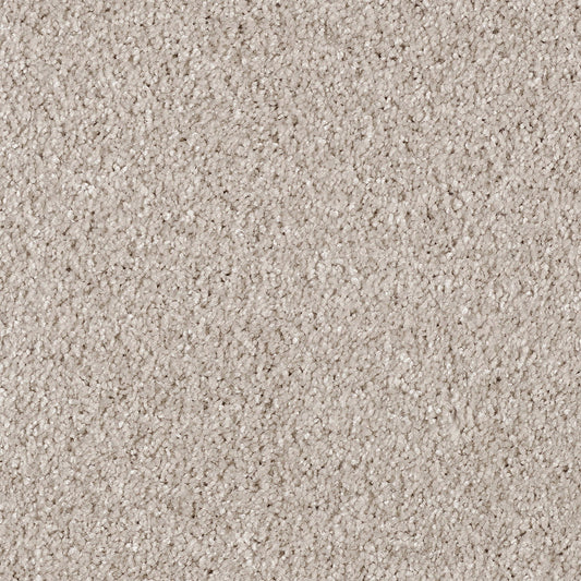 Cassius 15.5mm Olefin Carpet - Mistflower 32