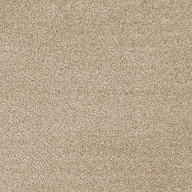 Cassius 15.5mm Olefin Carpet - Temple 33