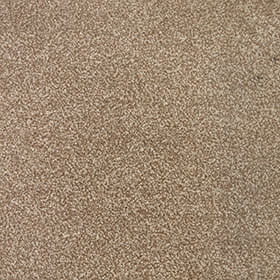 Cassius 15.5mm Olefin Carpet - Acacia 34
