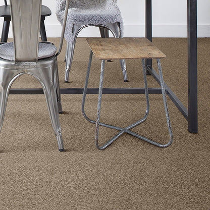 Cassius 15.5mm Olefin Carpet - Acacia 34