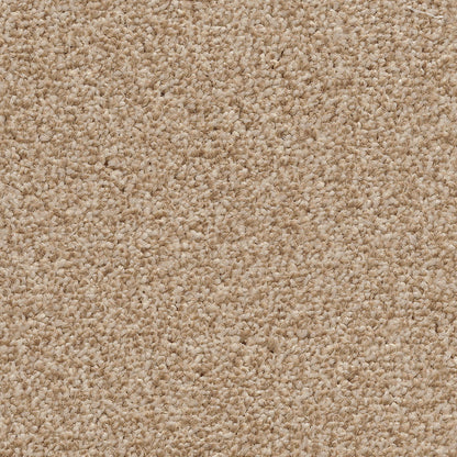 Cassius 15.5mm Olefin Carpet - Golden Honey 35