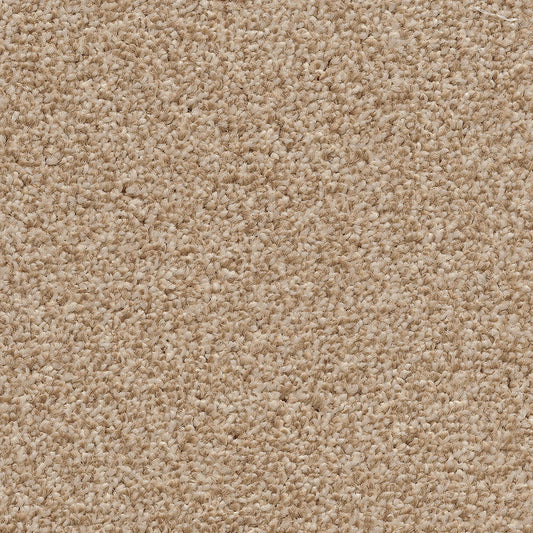 Cassius 15.5mm Olefin Carpet - Golden Honey 35
