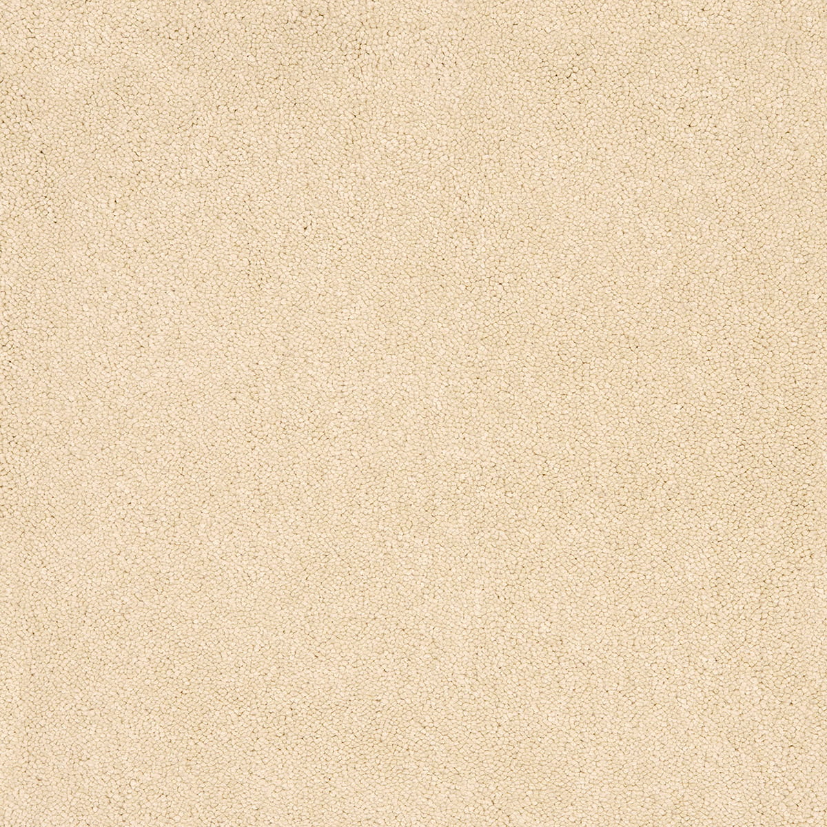 Aries 10mm Polypropylene Carpet - Flint 03