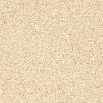 Aries 10mm Polypropylene Carpet - Flint 03