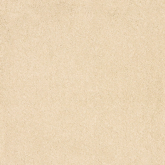 Aries 10mm Polypropylene Carpet - Flint 03