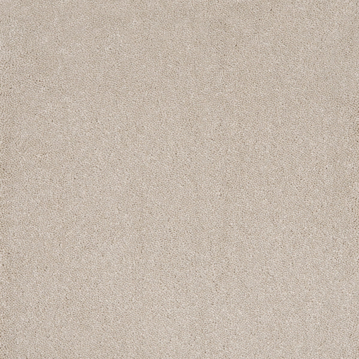 Aries 10mm Polypropylene Carpet - Cotton 09