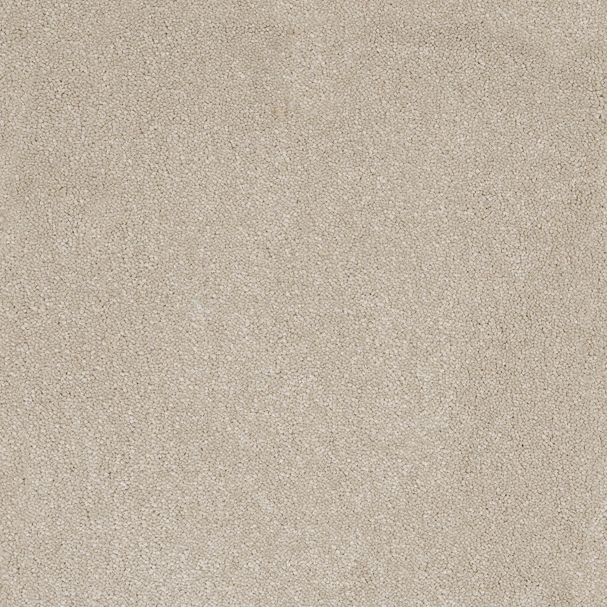Aries 10mm Polypropylene Carpet - Hammock 33