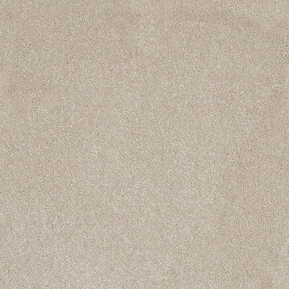 Aries 10mm Polypropylene Carpet - Hammock 33