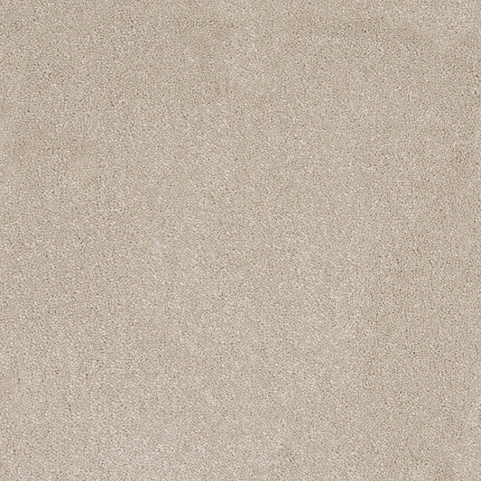Aries 10mm Polypropylene Carpet - Hammock 33