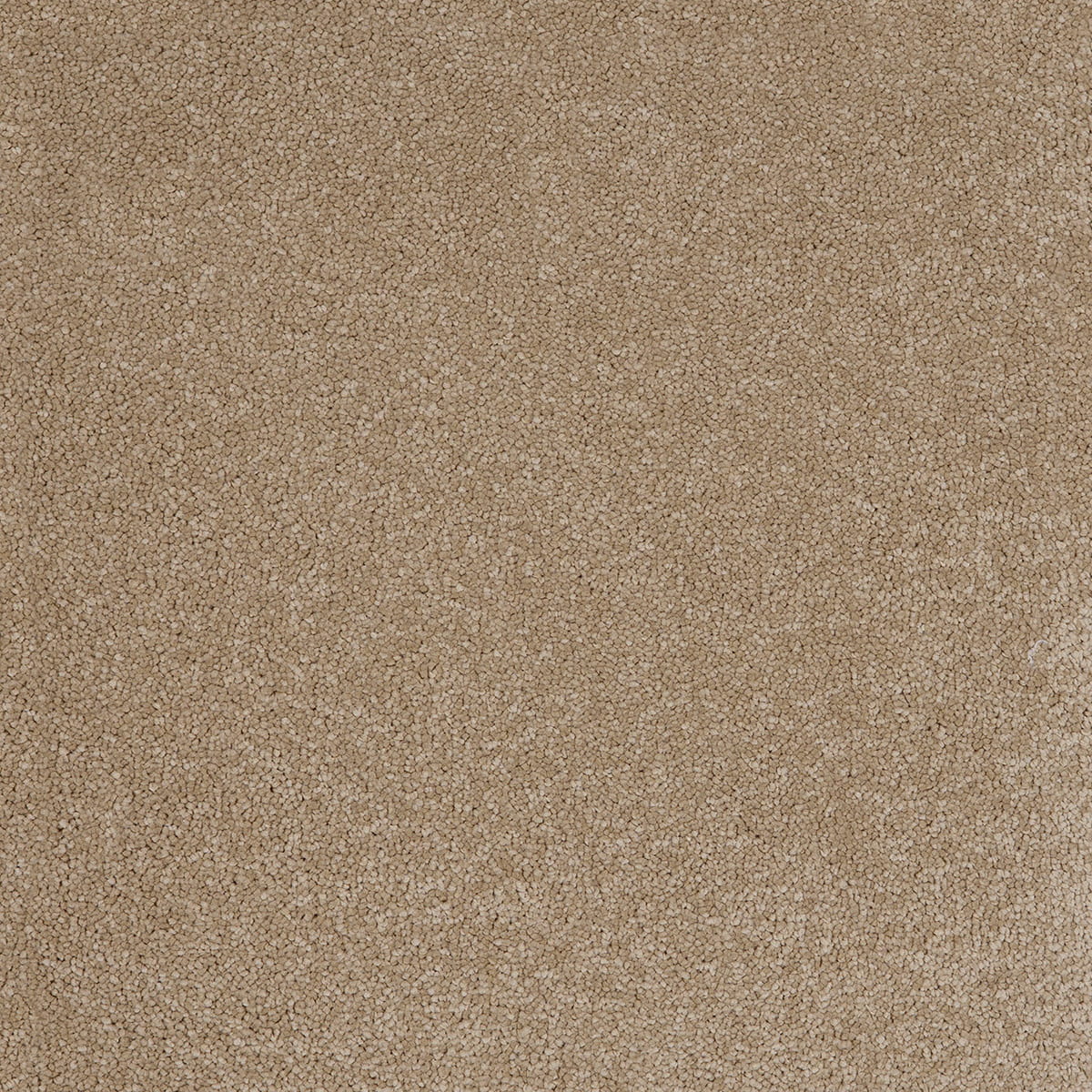 Aries 10mm Polypropylene Carpet - Sandstone 37