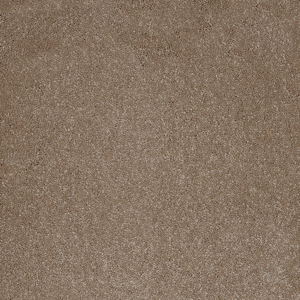 Aries 10mm Polypropylene Carpet - Fudge 39