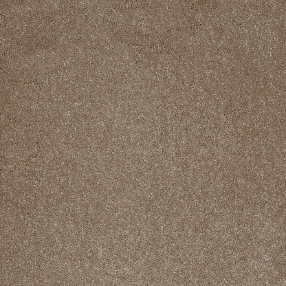 Aries 10mm Polypropylene Carpet - Fudge 39