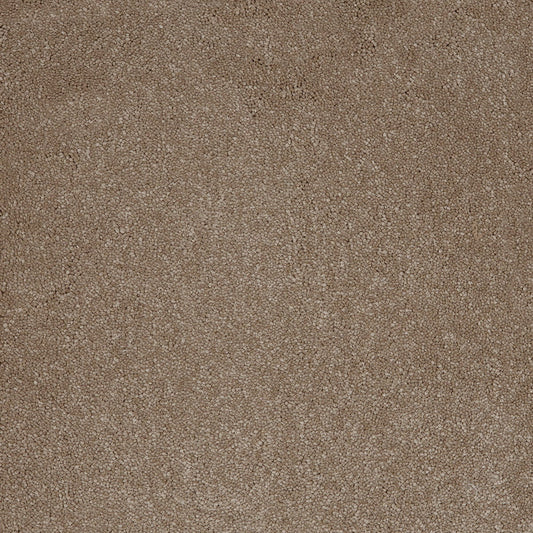 Aries 10mm Polypropylene Carpet - Fudge 39