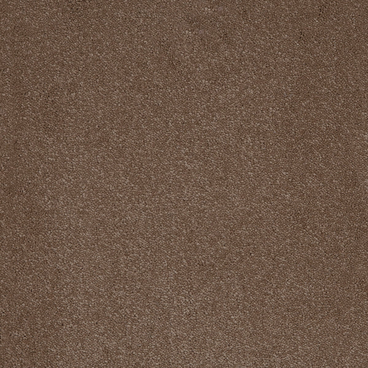 Aries 10mm Polypropylene Carpet - Moleskin 40