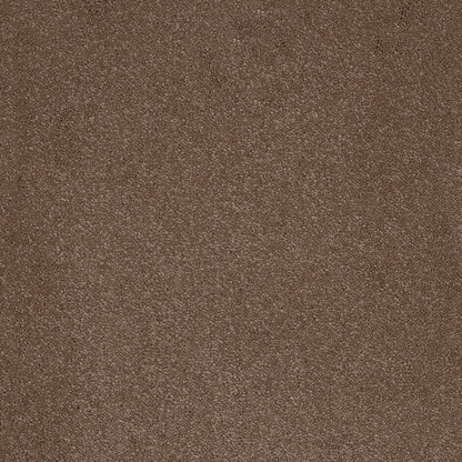 Aries 10mm Polypropylene Carpet - Moleskin 40