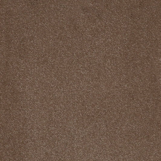 Aries 10mm Polypropylene Carpet - Moleskin 40