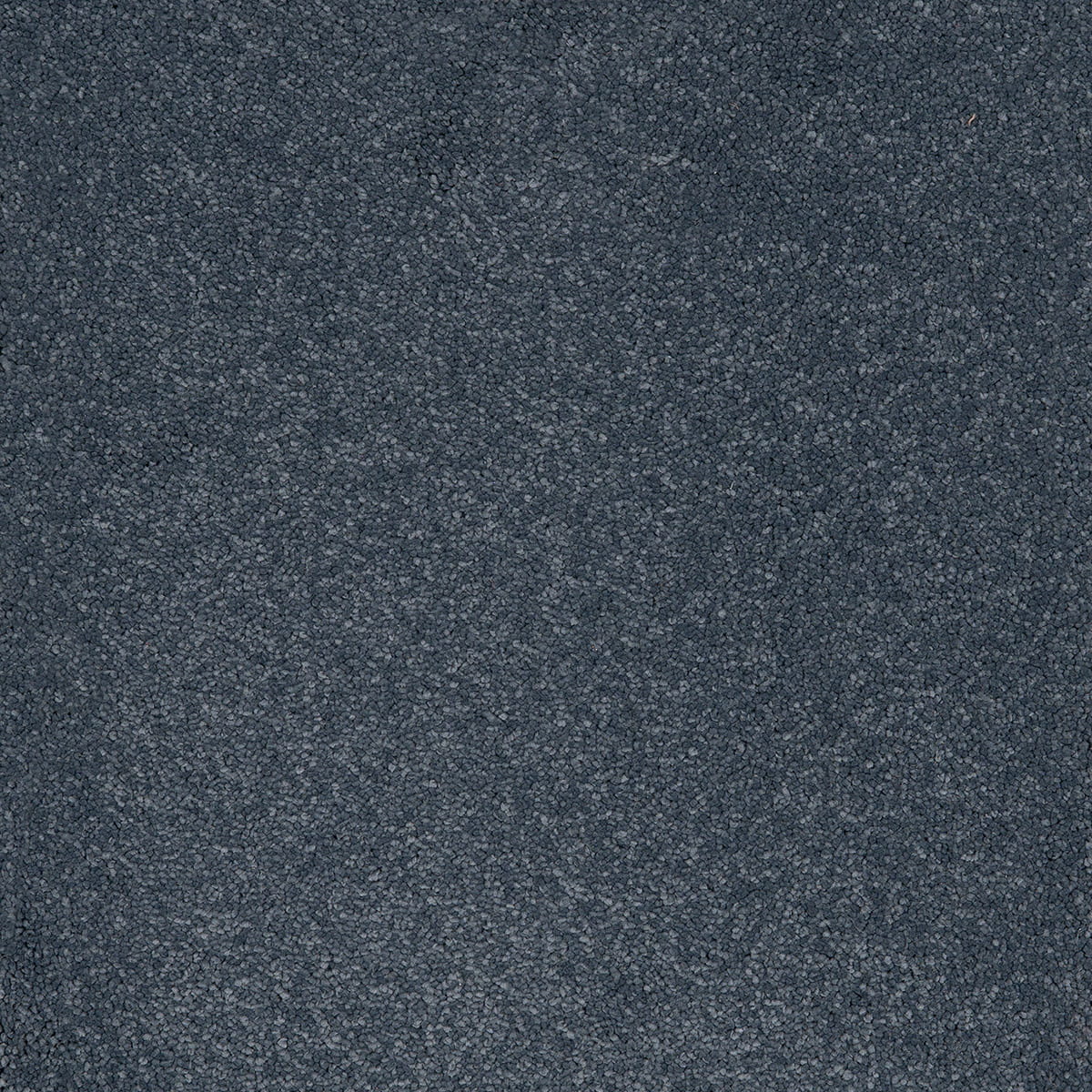 Aries 10mm Polypropylene Carpet - Wedgewood 79