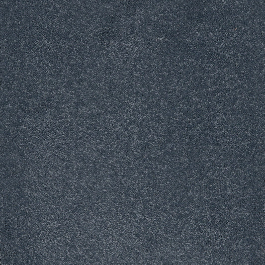 Aries 10mm Polypropylene Carpet - Wedgewood 79